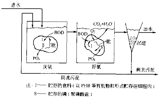 生物除磷劑原理