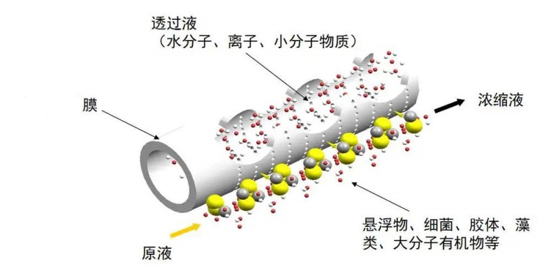 膜清洗