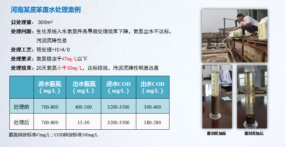 氨氮降解菌應(yīng)用案例