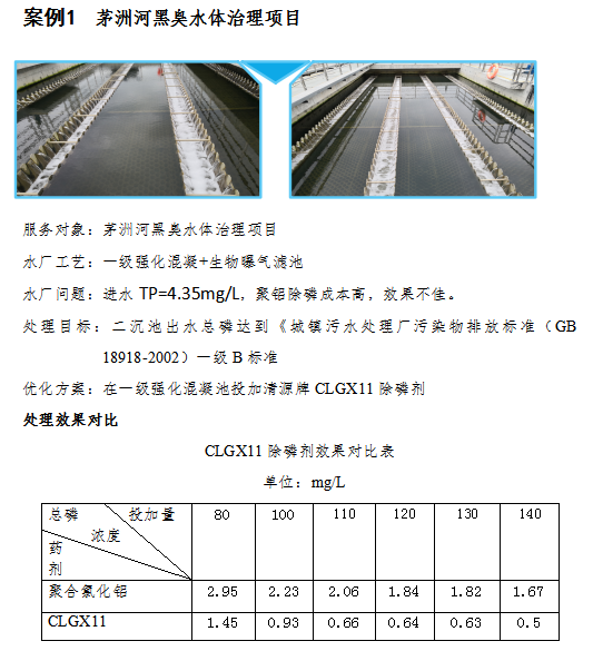 黑臭水體除磷實例