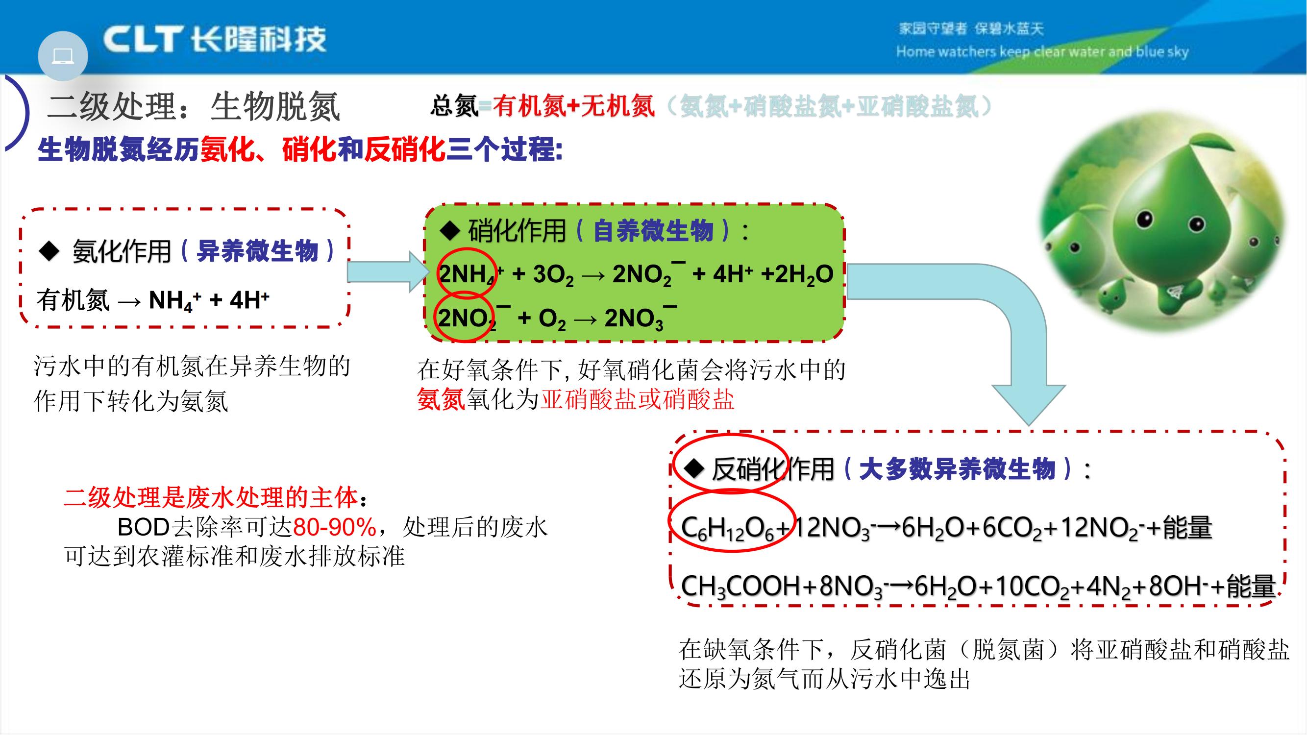 生物脫氮